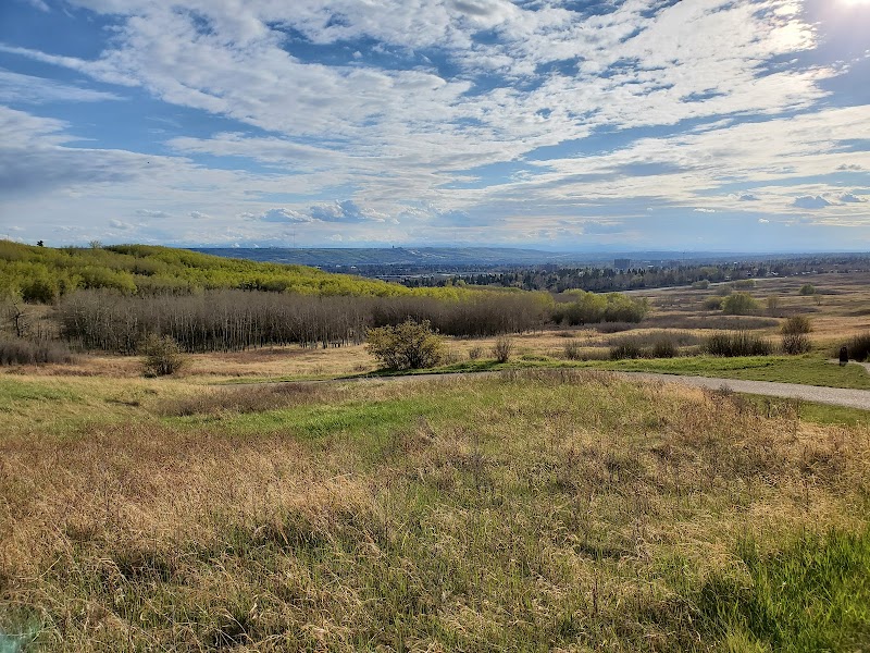 Nose Hill Park dog park