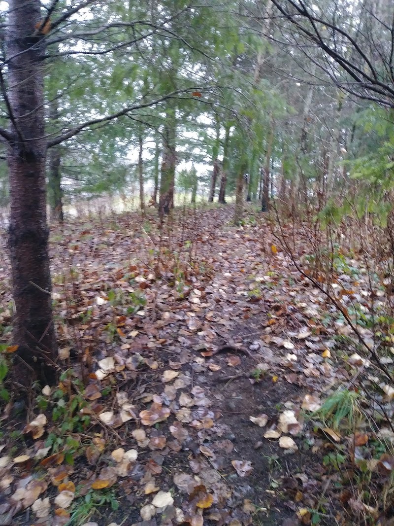 Penfield West Park dog park