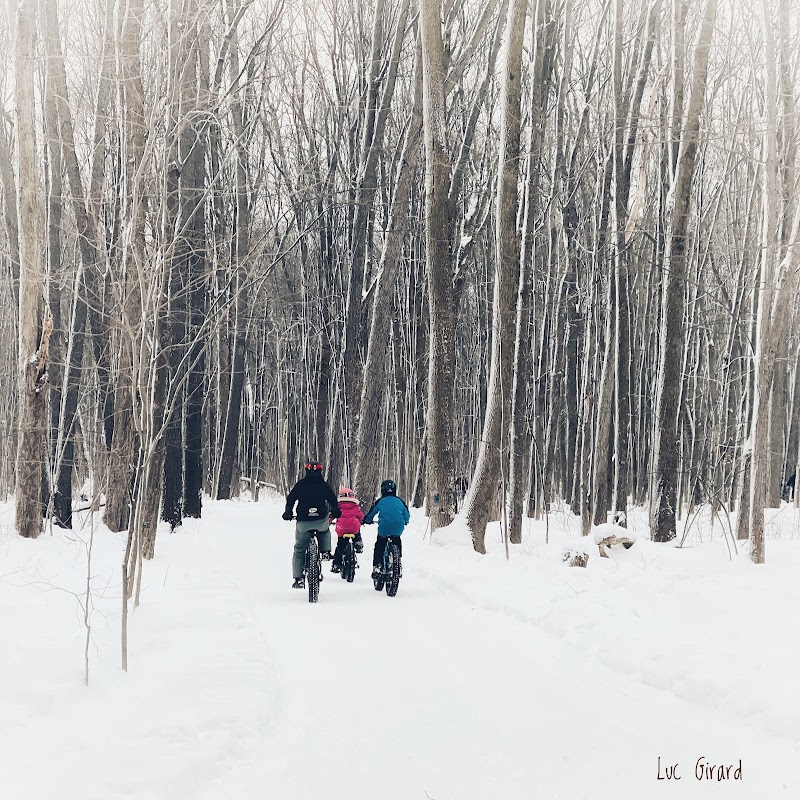 Centre de la nature 4 saisons dog park