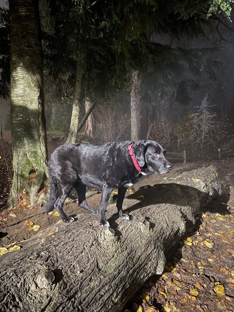 Rocky Point Off Leash Dog Park dog park