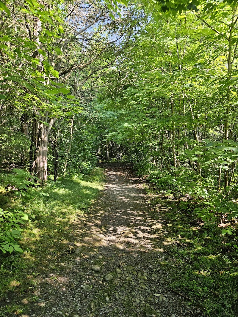 Hanna Park & Dog Park dog park