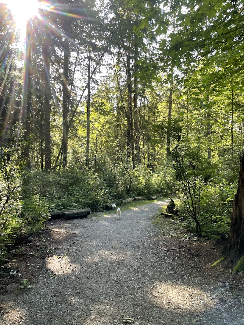 Westhill Off-Leash Park dog park
