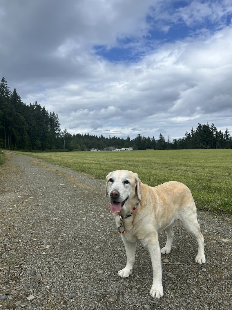Fuller Lake Arena Grounds dog park