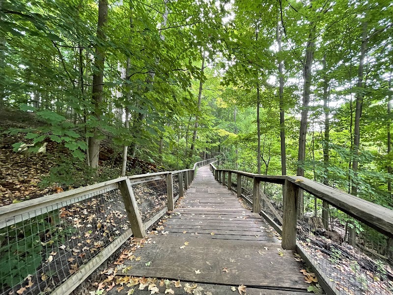 Sherwood Park dog park