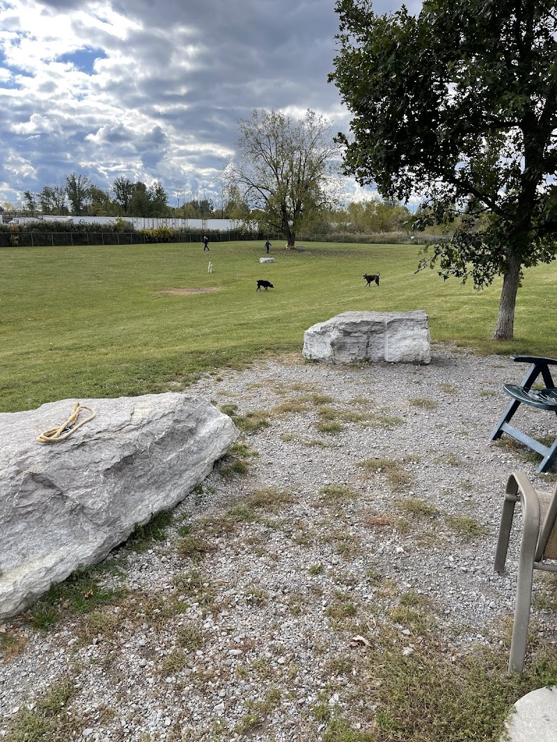 Elm Street Leash-Free Dog Park dog park