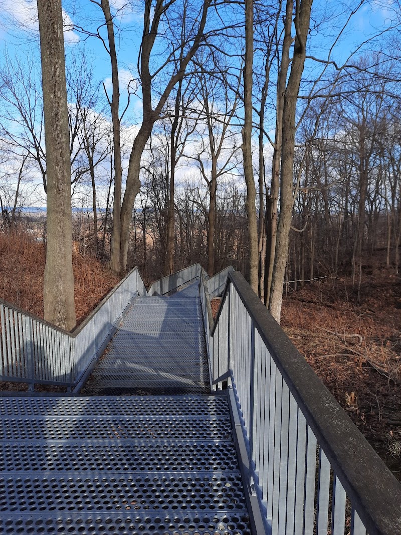 Kinsmen Park dog park