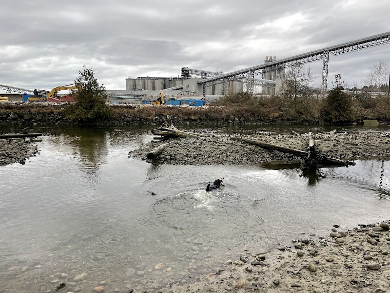 Harbourview Park dog park