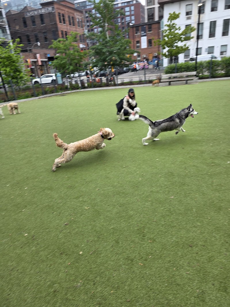 St. Andrew's Playground Dog Park dog park