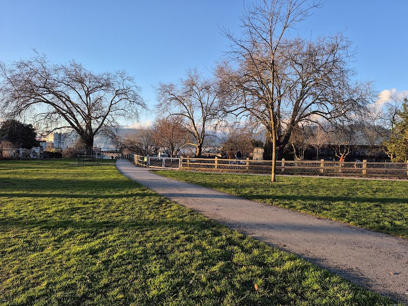 Pandora Park Dog Off-Leash Area dog park