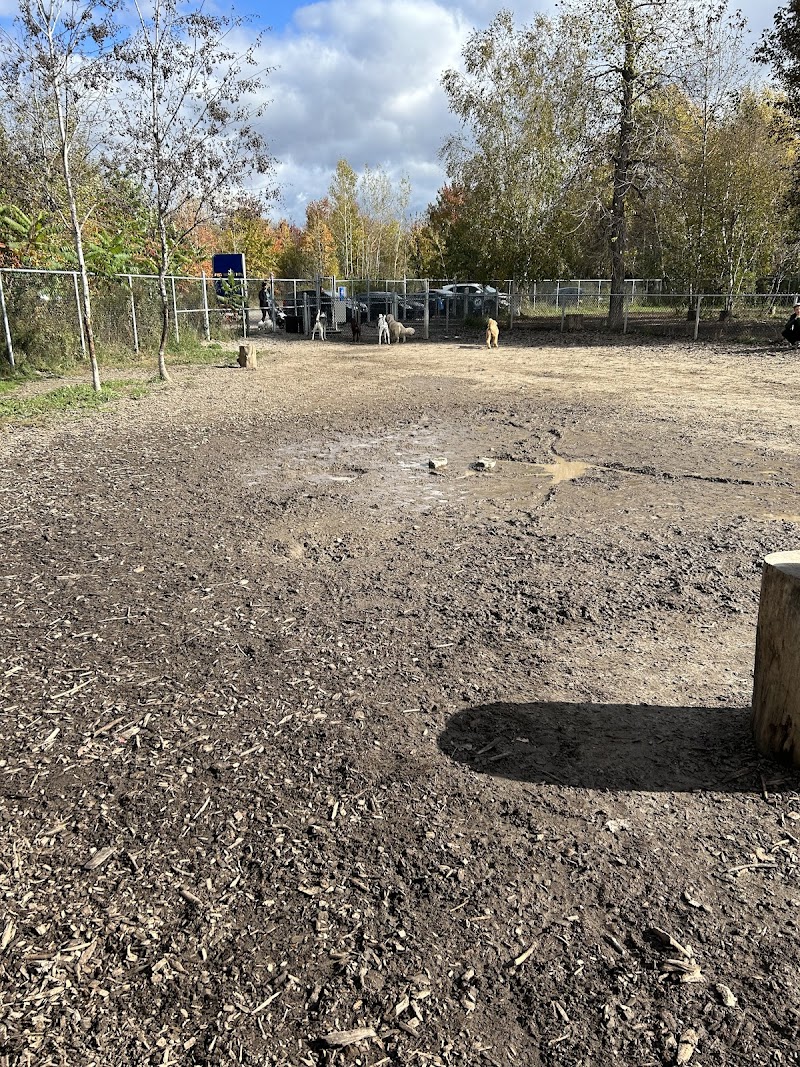 Dog park of Base Plein Air de Sainte-Foy dog park