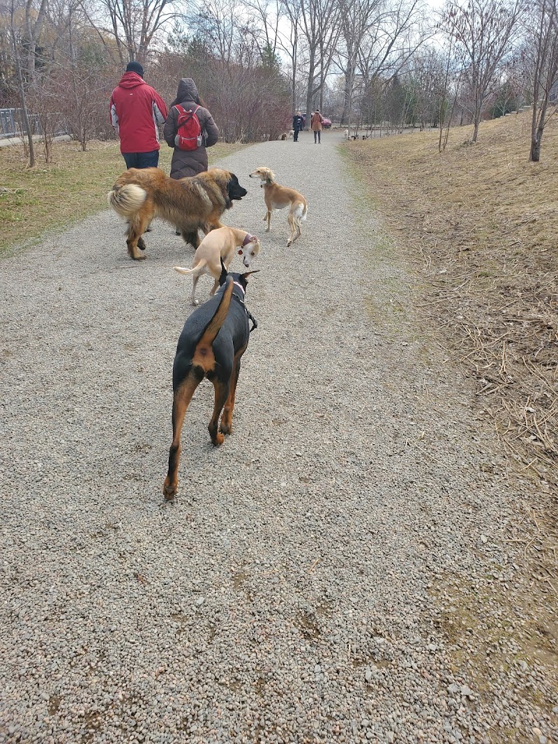 Jack Darling Memorial Park dog park