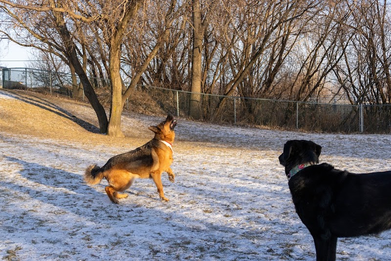 Parc à chien - Entre quatre pattes dog park