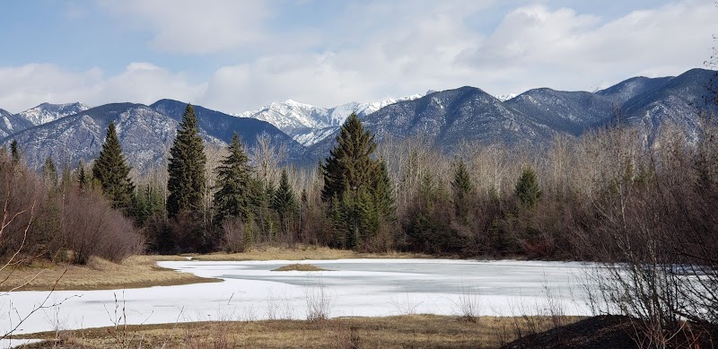 Ray Brydon Park dog park