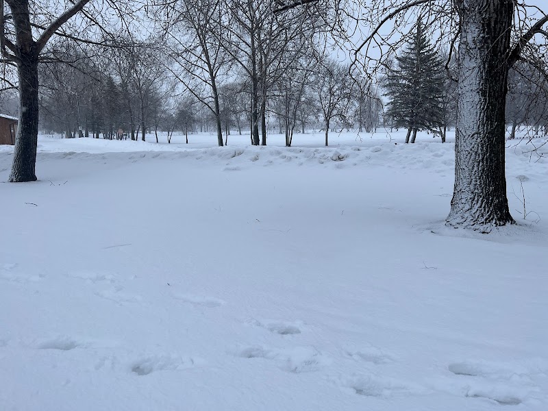Selkirk off-leash Dog Park dog park