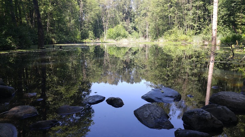 Everett Crowley Park dog park