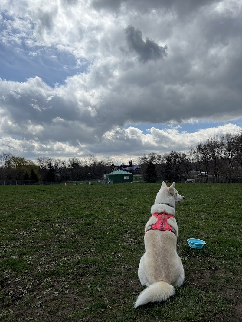 Cathedral Park dog park