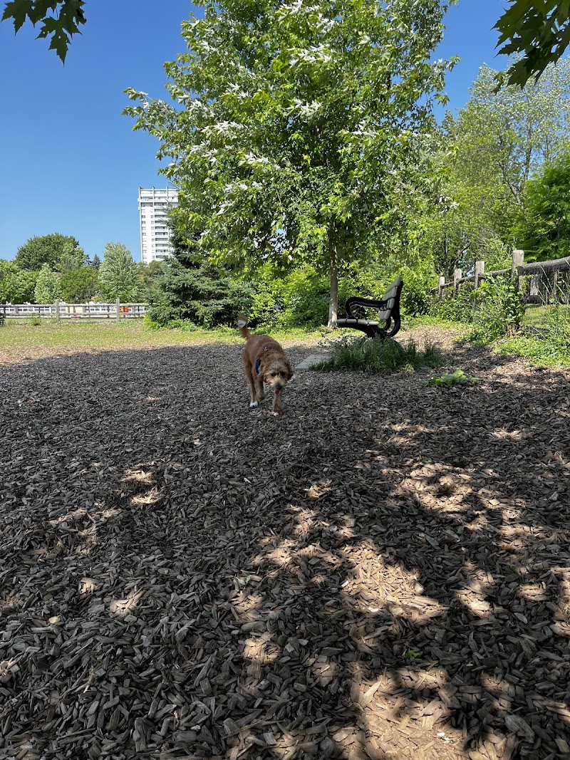 Stan Wadlow off-leash dog park dog park