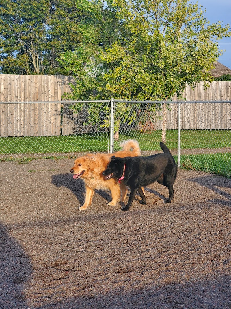 Shediac Dog Park dog park