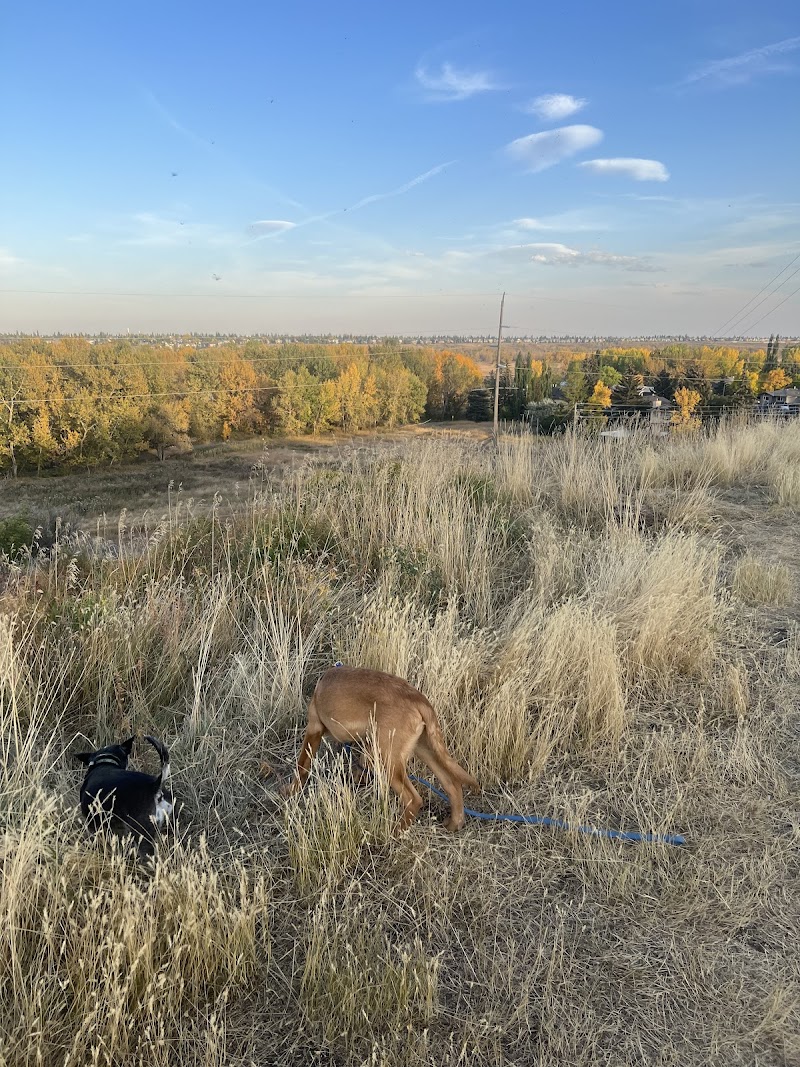 Queensland Off Leash Area dog park