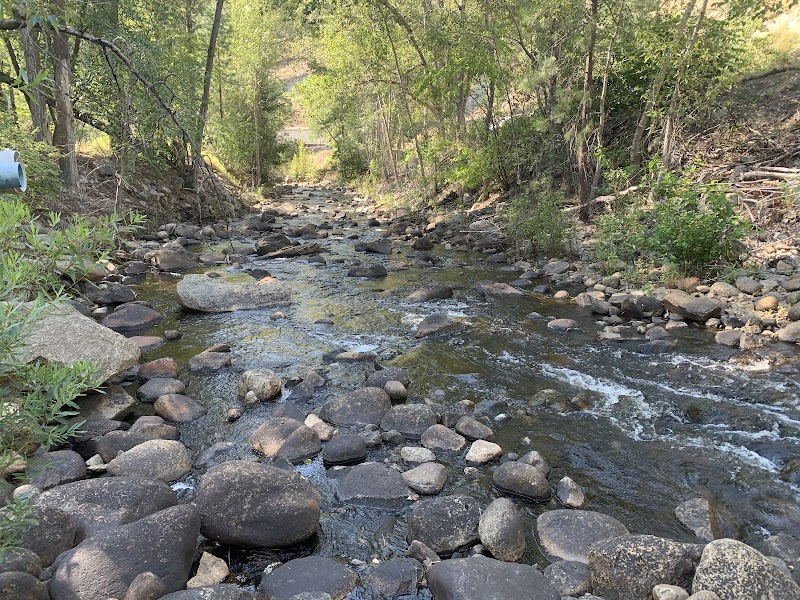Water Treatment Plant Off Leash Dog Park dog park