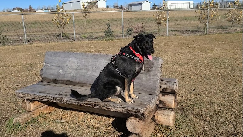 Carstairs Off Leash Dog Park dog park