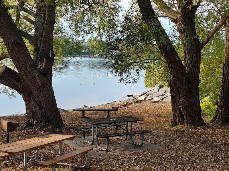 Rotary Park Dog Park dog park