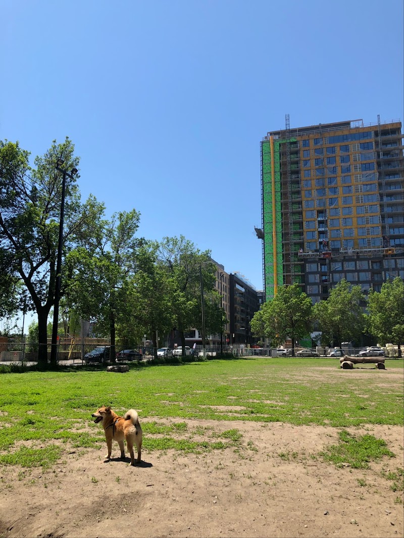 Gallery dog park dog park