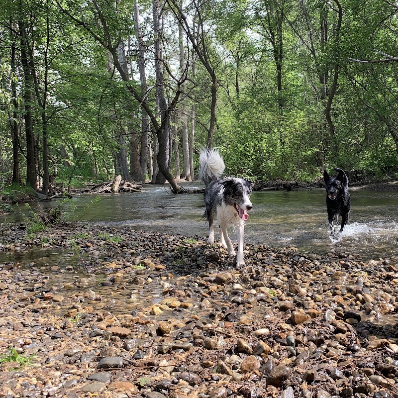 Creekside Off-Leash Dogpark dog park