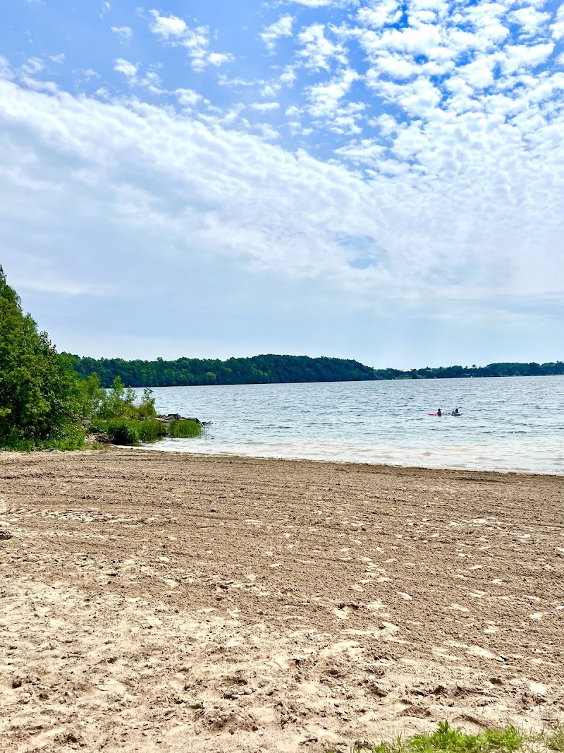 Grass Creek Park Dog Park dog park