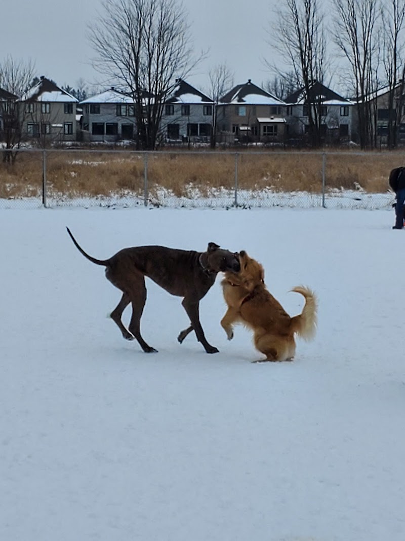 Riverside South Dog Park dog park