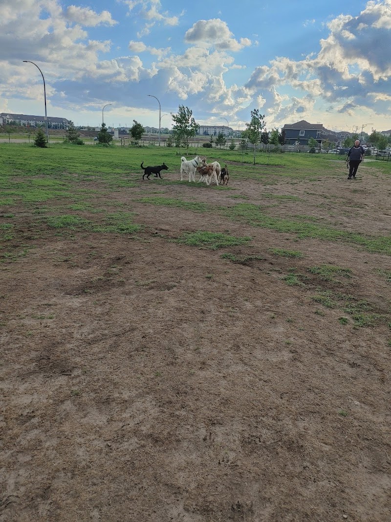 Manning Village off-leash Dog Park dog park