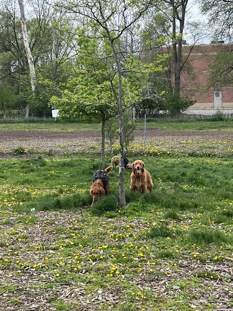 Caesars Dog Park dog park