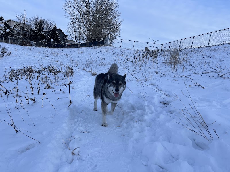 Hidden Valley Area 2 Off Leash Dog Park dog park