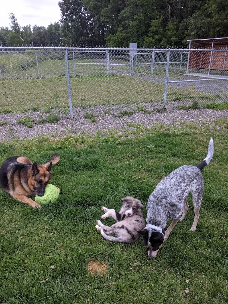 Parc canin de Coaticook dog park
