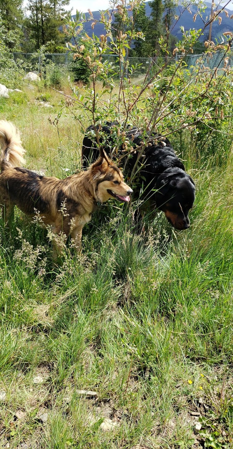 Jasper Off-leash Park dog park
