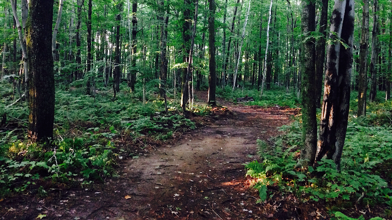 Plein-Air Canin (Private dog park - entrance fee) dog park