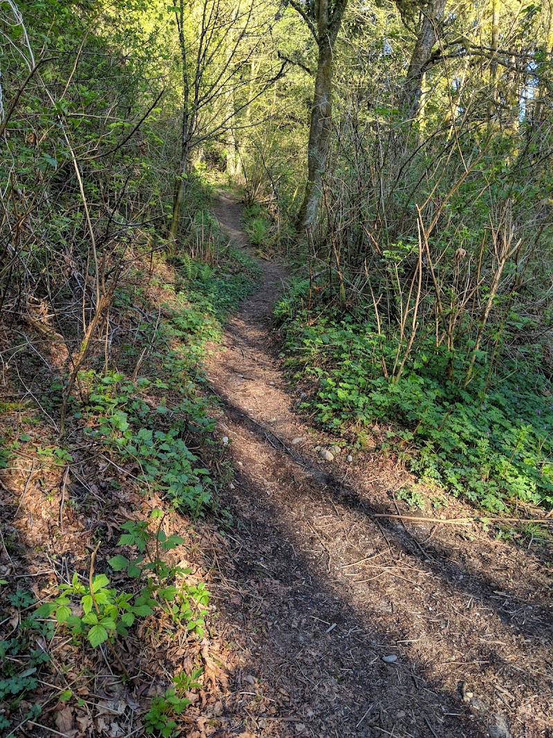 Chines Park Off-Leash Dog Area dog park