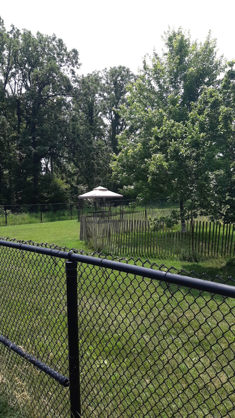 Leash Free Milton dog park