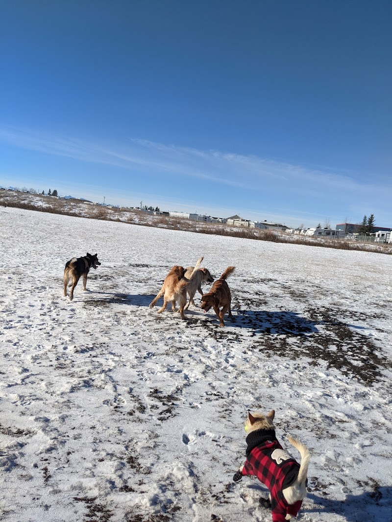 Springbank Off-leash Dog Park dog park