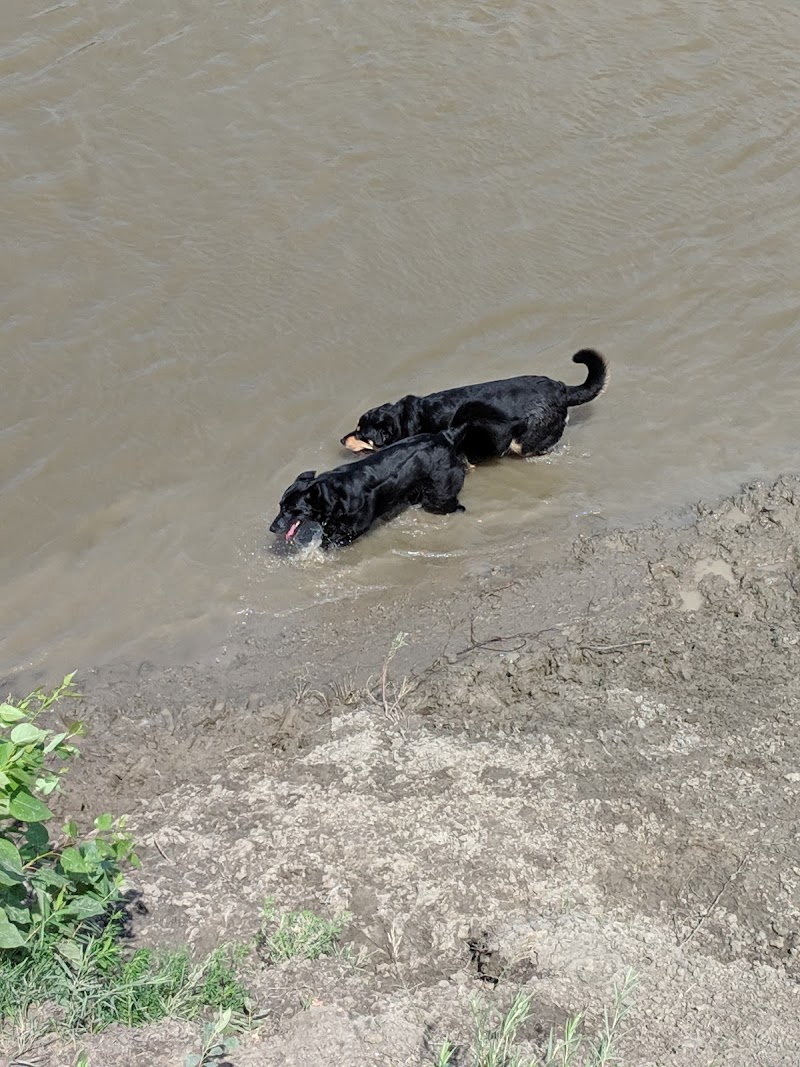 Maple Grove Dog Park dog park