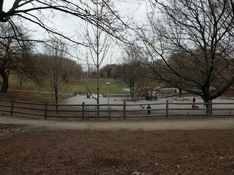 Bickford Park Dog Park dog park