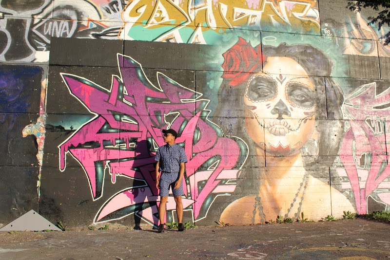 Tech Wall Dog Park — fenced dog park in Ottawa