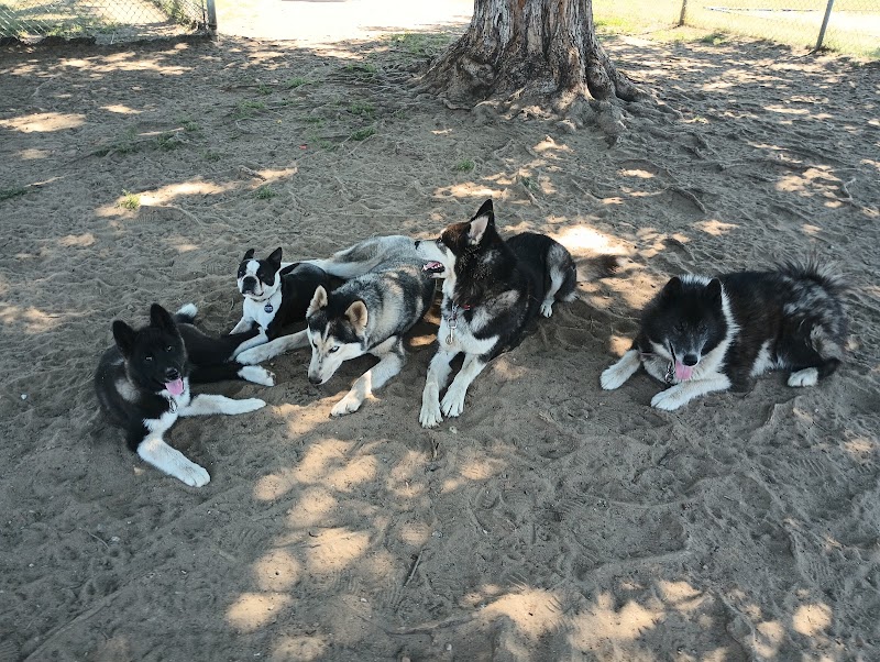 Parc Frank-Gauthier dog park