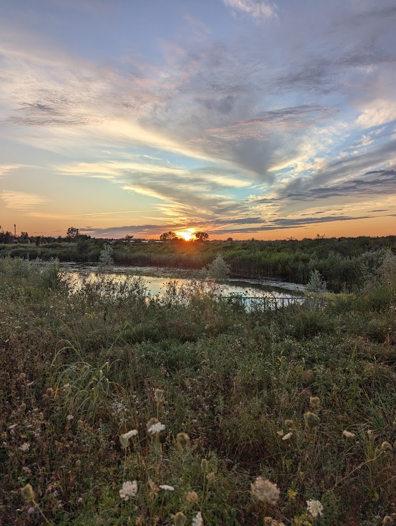 Findlay Creek Dog Park dog park