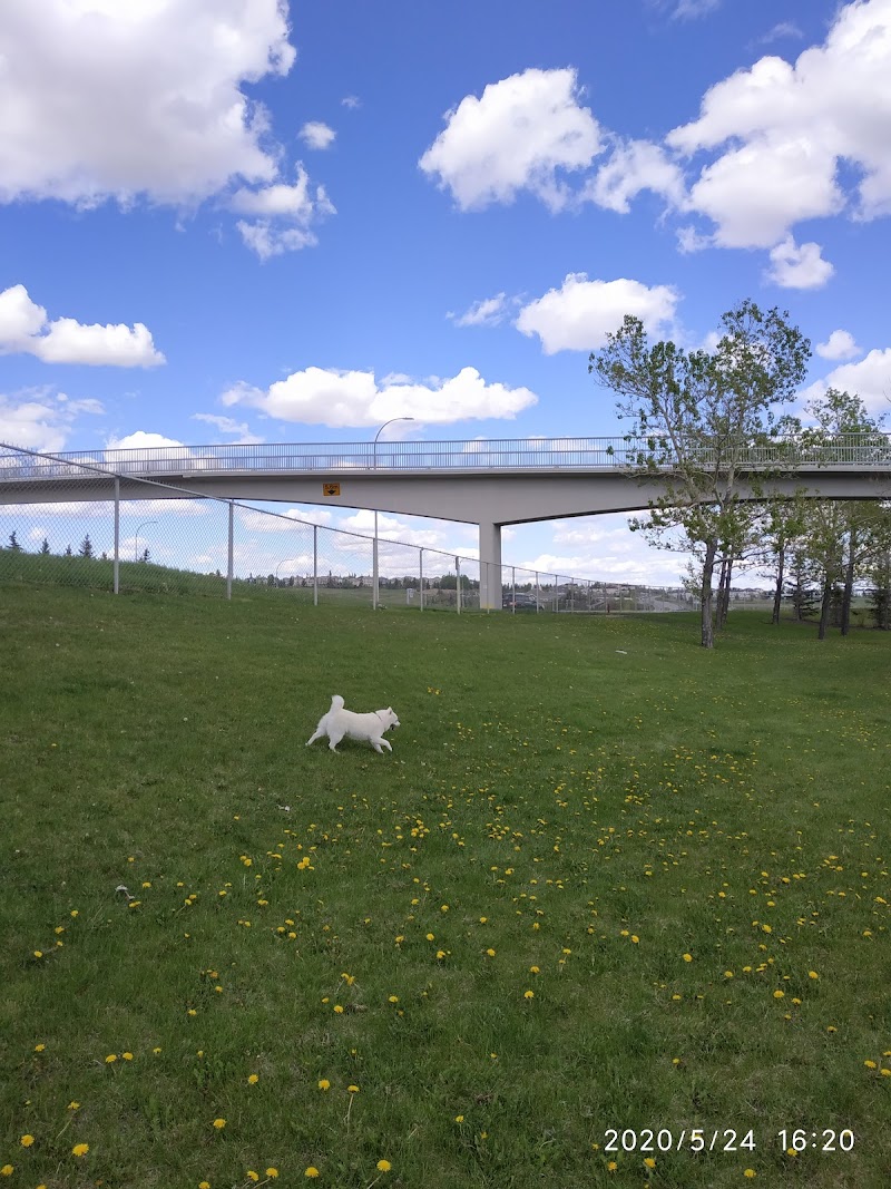Sandstone Area 1 Off Leash Dog Park dog park