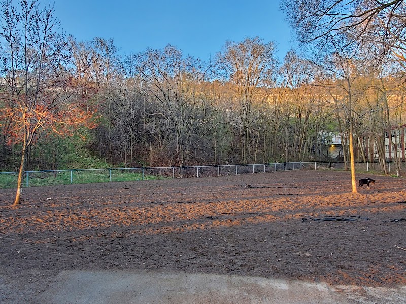 Rail Trail Dog Park dog park