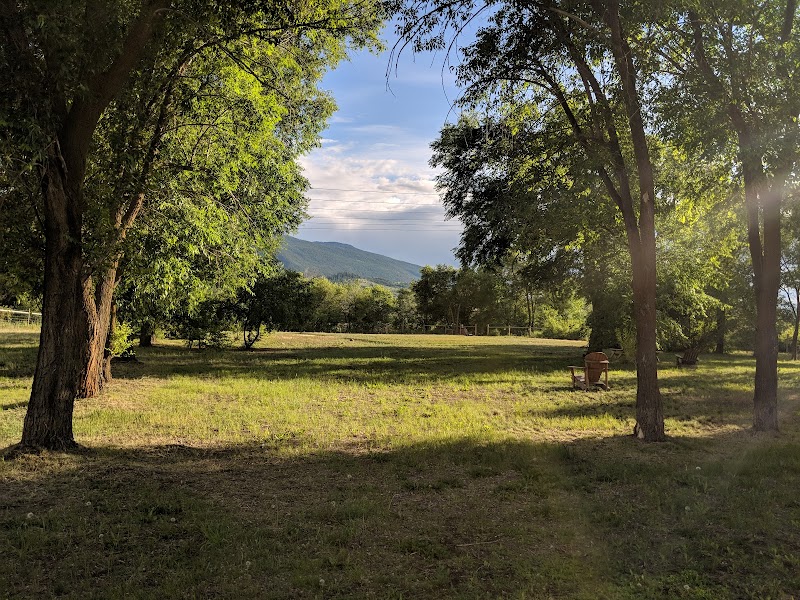 Vi Morphet Meadows Dog Park dog park