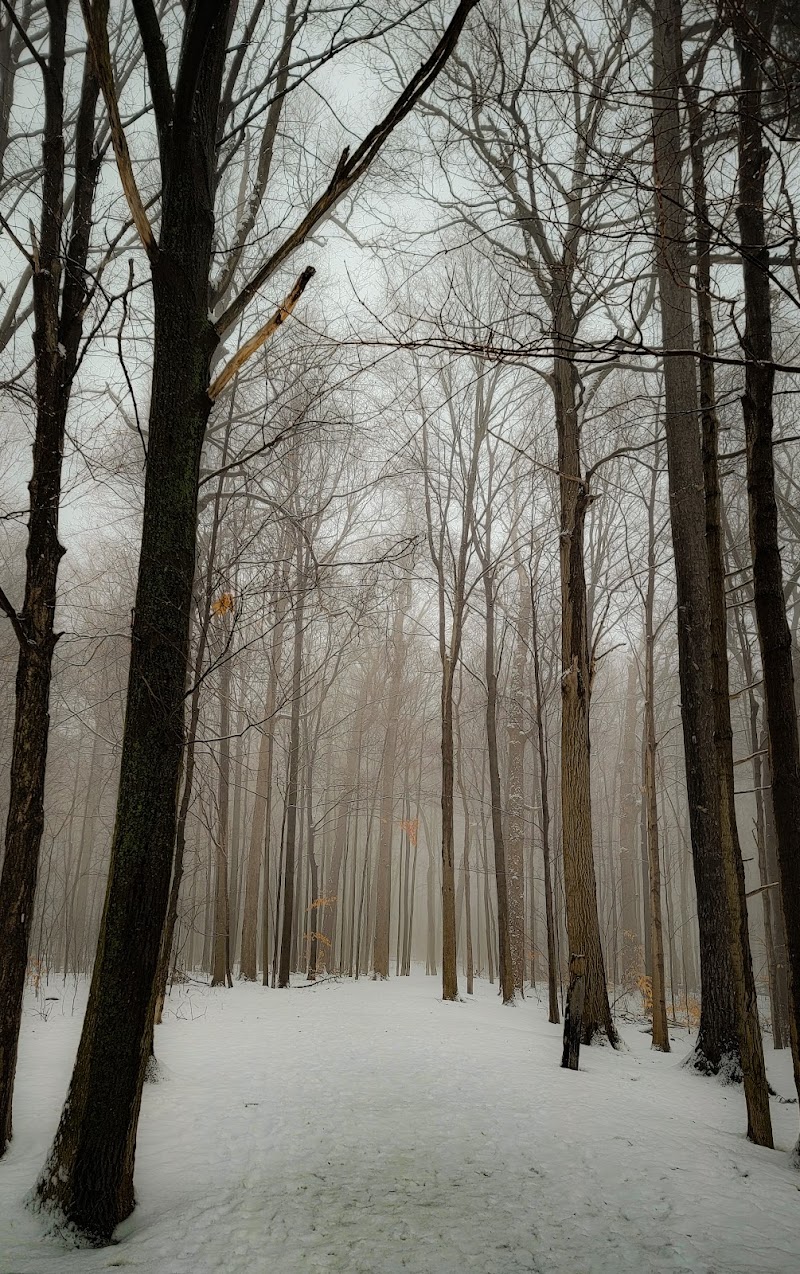 Sugarbush Heritage Park Off-Leash Dog Park dog park