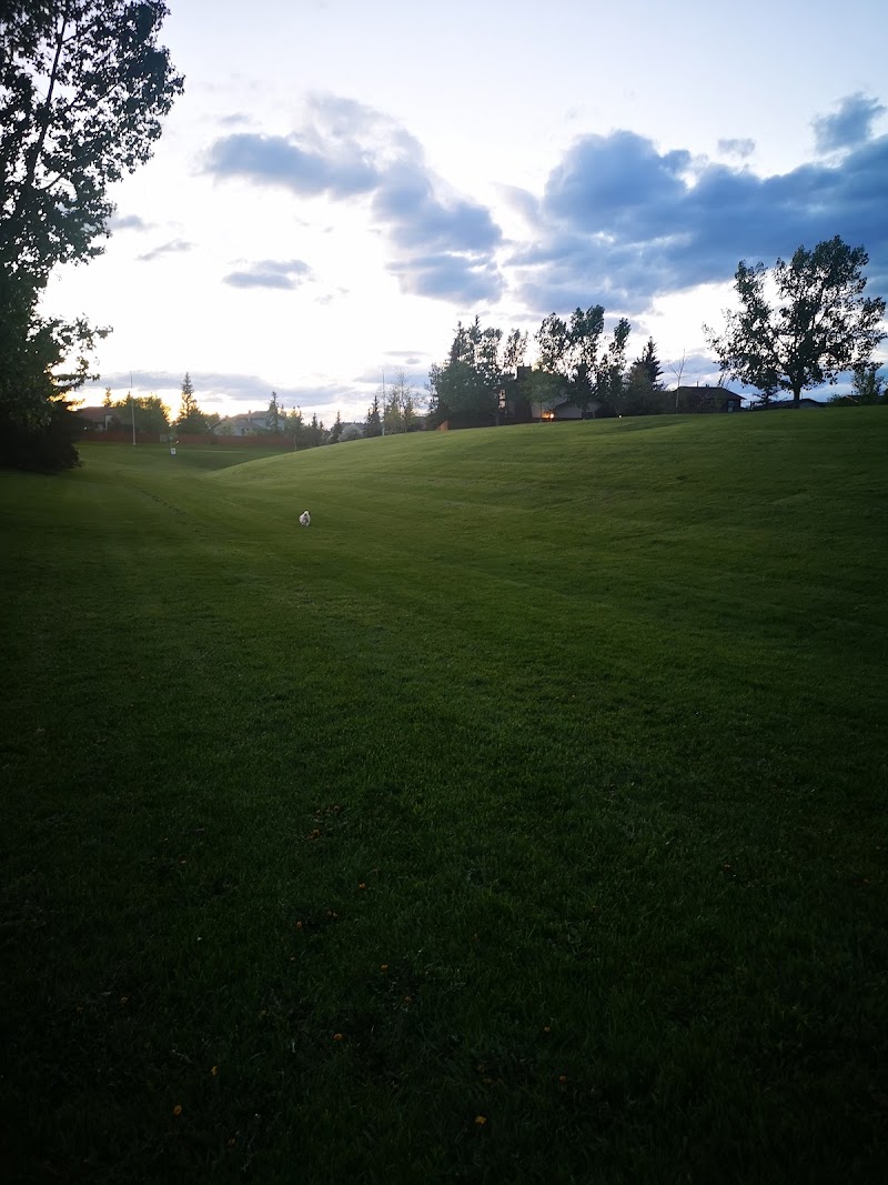 Beddington Area 1 Off Leash Dog Park dog park