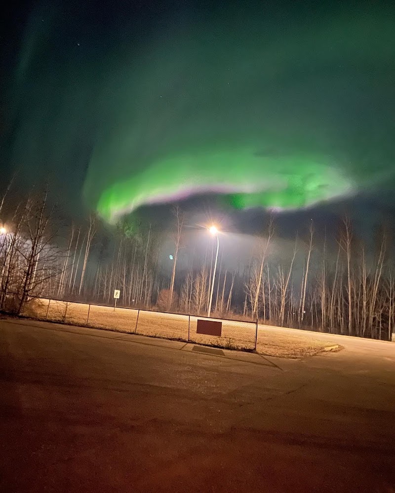 High Level Community Park dog park